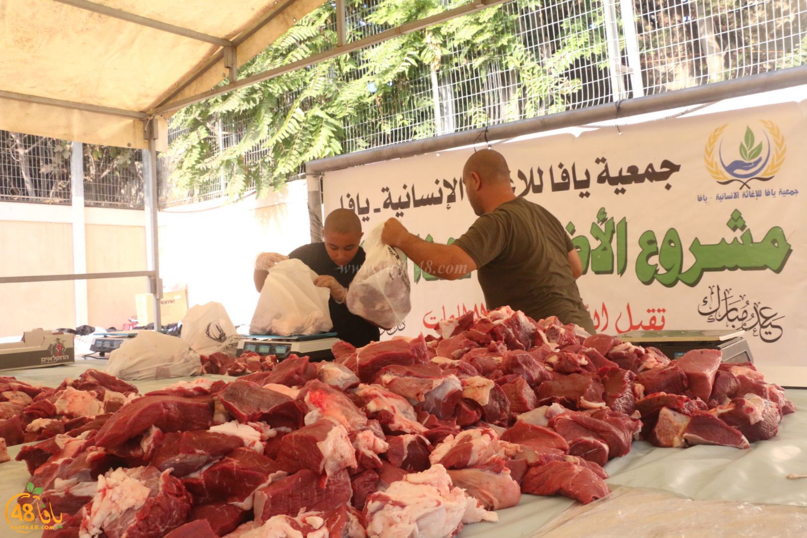 lo7om jam3iya u3 (36).jpg